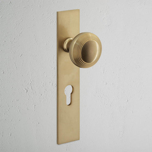 Poplar Long Plate Sprung Door Knob & Euro Lock - Antique Brass