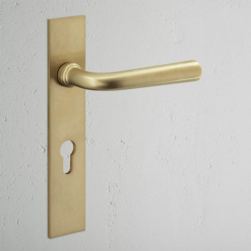 Apsley Long Plate Sprung Door Handle & Euro Lock - Antique Brass