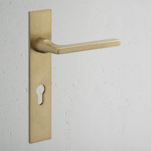 Clayton Long Plate Sprung Door Handle & Euro Lock - Antique Brass