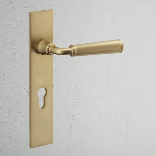Digby Long Plate Sprung Door Handle & Euro Lock - Antique Brass